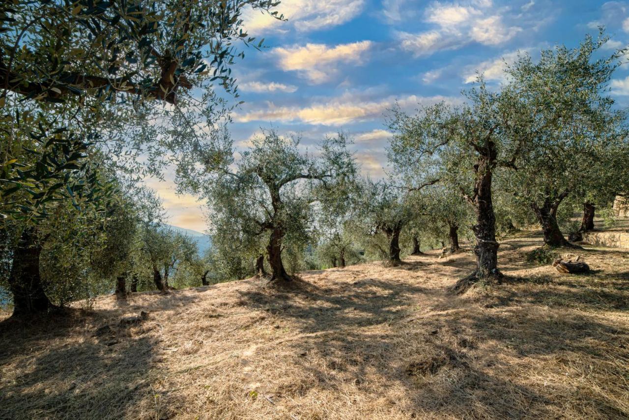 Casetta Maduneta Immersa In Un Oliveto Долчеакуа Екстериор снимка
